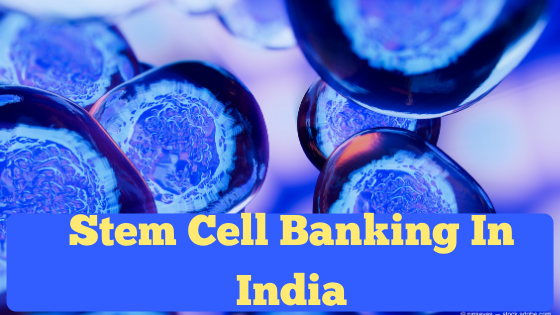 Everything about Stem Cell and Cost of Stem Cell Banking In India – Complete Guide!