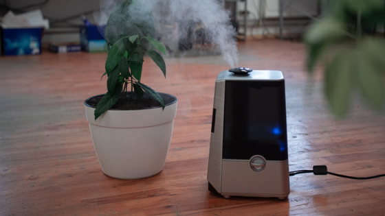 Top 5 Best Humidifier in India