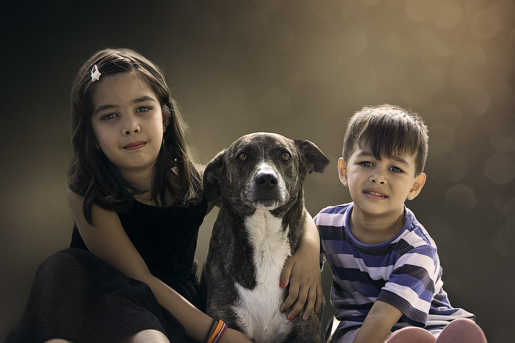 Top 5 Benefits of Having a Dog For a Child